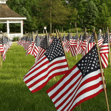 flags on the field